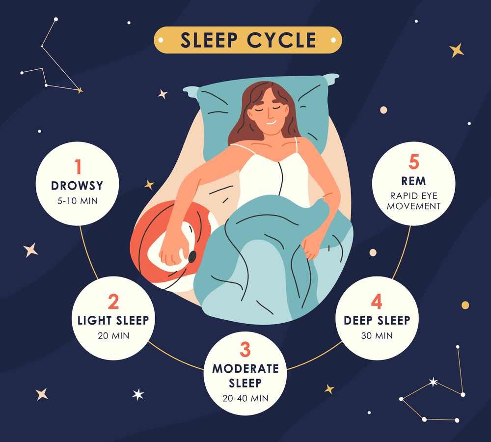 Sleep cycle infographic showing the 5 stages of sleep.