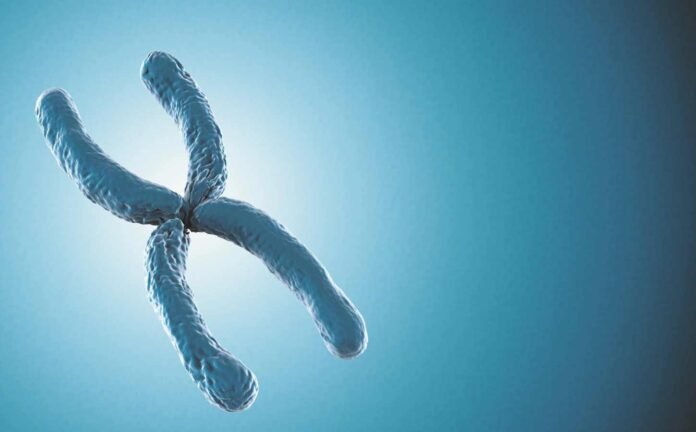 Blue chromosome on blue background